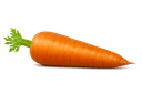 Carrot