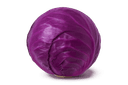 Purple Cabbage